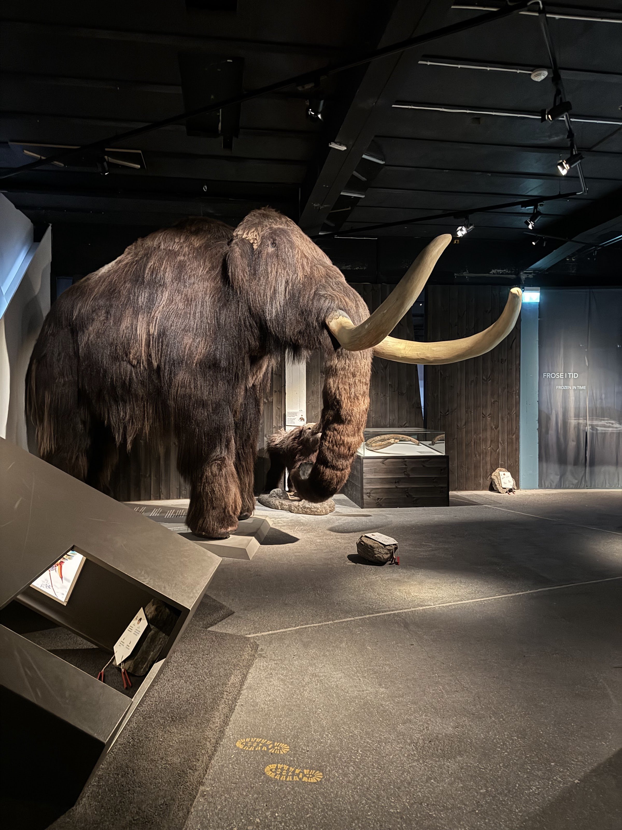 Norwegian Fjellsenter (Norsk Fjellsenter)